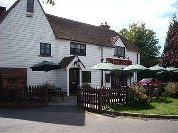 The Old Vine Inn Wadhurst Exterior photo